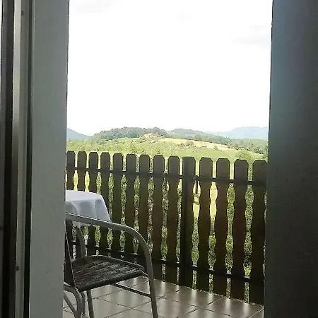 Проживание в семье Celinka Raka