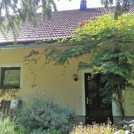 Celinka Raka